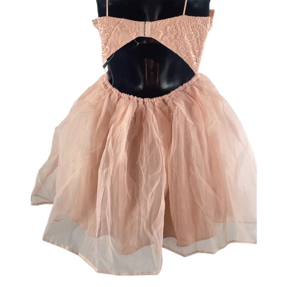 Urban Outfitters Love Triangle Pink Lace Dress-Small, NWT - Picture 10 of 10